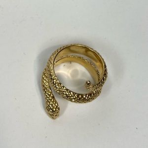 Stainless steel snake ring